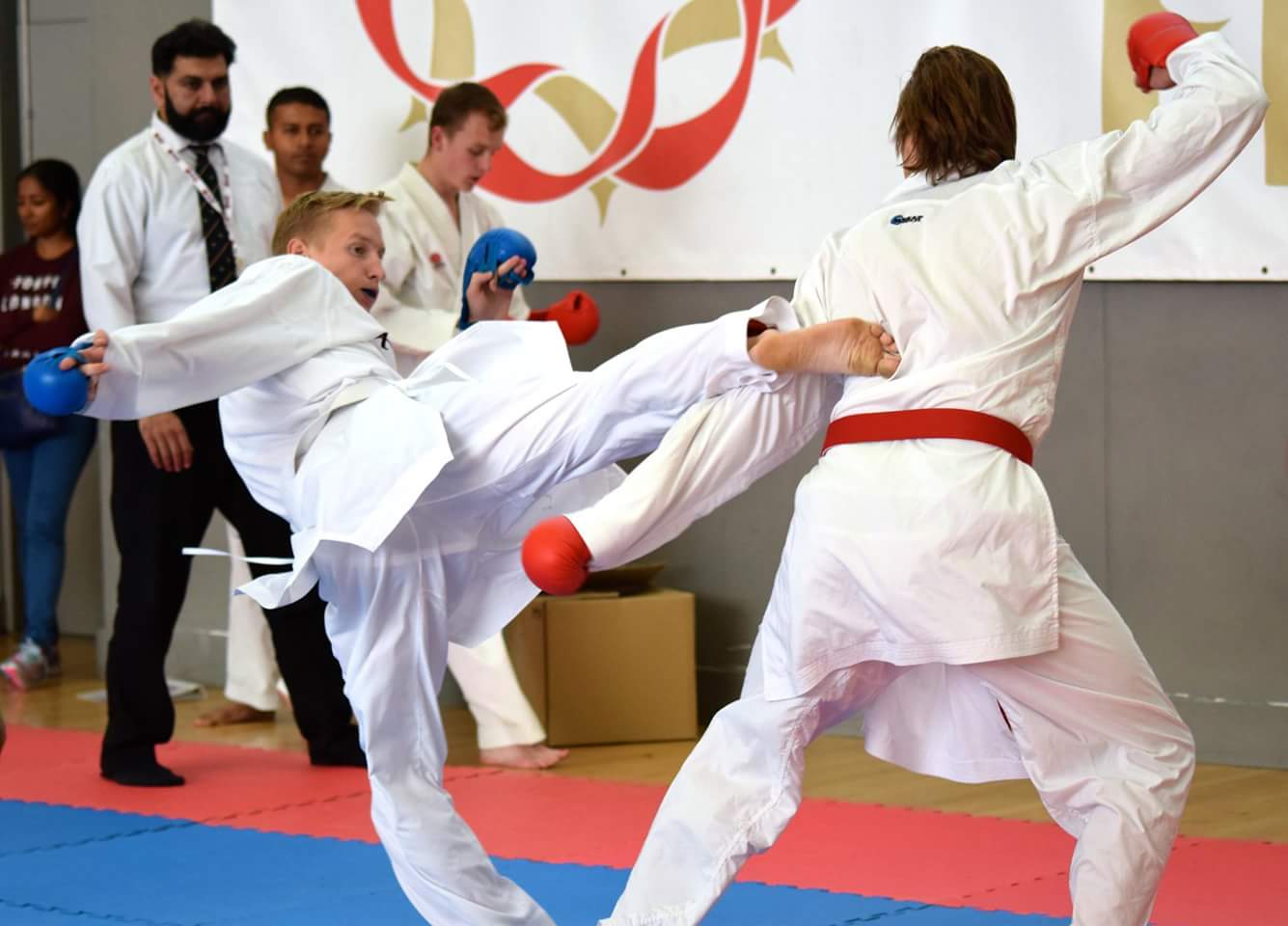 Image related to Hobby One